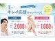 ルピナス(Lupinus)の写真