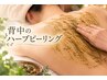 背中ハーブピーリング★通常22000円→19000円