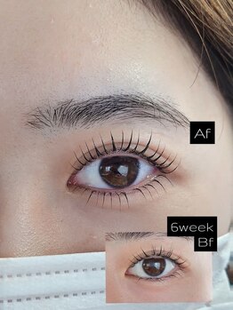 ムートンアイ(MOUTON EYE)/まつ毛パーマ