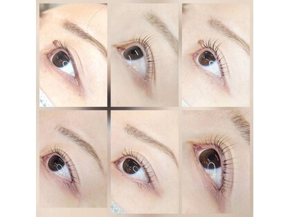 フェリーチェ(Felice)の写真