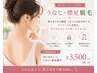 【後ろ姿美人へ】うなじ・襟足脱毛