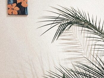 マイレ(Maile)/Maile