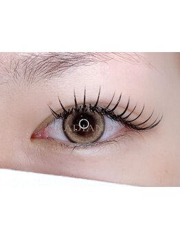 初めての方にオススメ