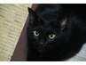 極上の癒やし◆もみほぐし60分+ヘッドスパ20 ¥4,200/通常¥4,400/計80分