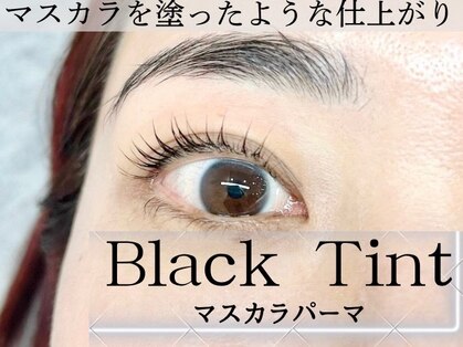 ロア(Loa)の写真