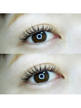 ラポール(Rapport)/フラットラッシュ120本