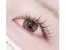 【6/12限定】バインドフラット60束（120本）7500→5400円！