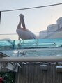 ウユ 上尾店(uu)&nbsp;水族館にお出かけ♪ペリカンの観察しました＾＾［上尾/まつげ］