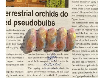 アネモネ(ANEMONE)/秋色ニュアンスネイル☆