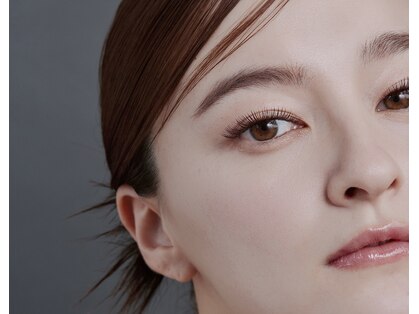 ディッシュビューティー(dish beauty)の写真
