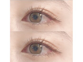 ネイルサロンノイ 経堂店(noi)/セーブルカラーエクステ