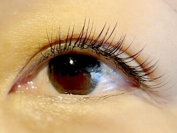 アイアイ(i eye)/◎ナチュラルデザイン