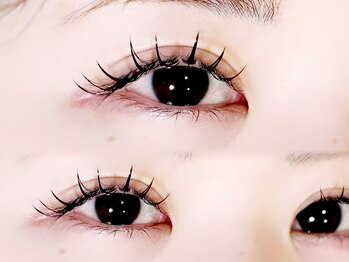 クリエ(CLIE)/大人気のLED韓ドル束感120本