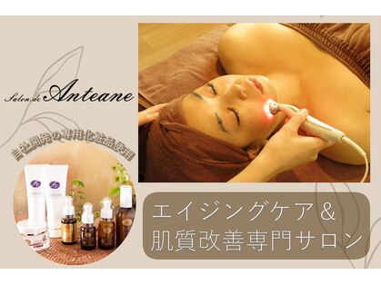 サロン ドゥ アンティエーヌ銀座の写真