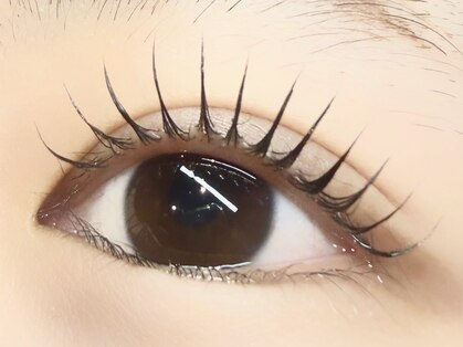 イデアル(ideal)の写真