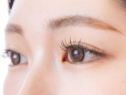 キャンメイ(Can Mei)の写真