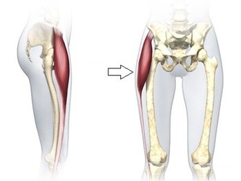 スタジオ ベガ(Studio vega)/【筋肉】正しく使えていますか？