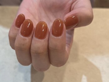 クルネ(QULNE)/ワンカラー/ブラウン