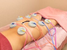 アルメリア(Armeria)/【EMS】