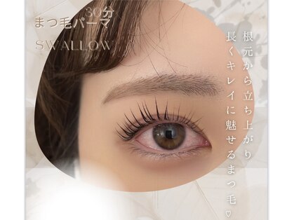 スワロ(Swallow)の写真