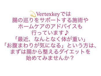 バーテックスキー(Vertexkey)/ダイエットするなら腸活も！