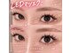 エトラ 新宿(etora)の写真
