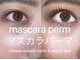 ワンバイワン(one by one)の写真