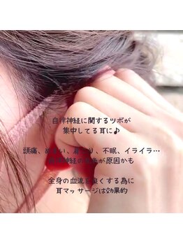 メイ アンド ティースタイル(Mei&T's style)/純粋　天然　アロマ