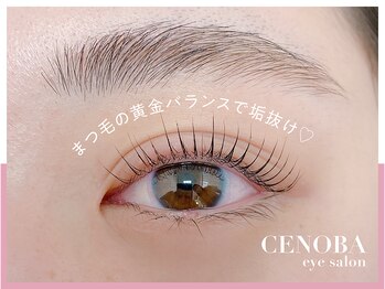 シェノバ(CENOBA)