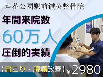 芦花公園駅前鍼灸整骨院