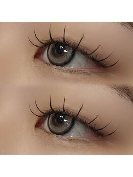 ルリアルリア(Lelie)/フラットラッシュ120本