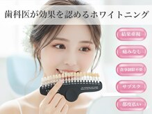 ダンブランシュサンダ(dents Blanches SANDA)