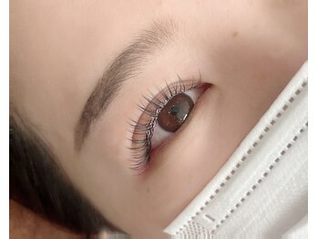 リチェルカ(ricerca)/超軽量フラットラッシュ 120本