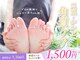 マム(Mum)の写真