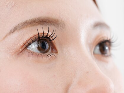 レネージュ(Les Neige)の写真