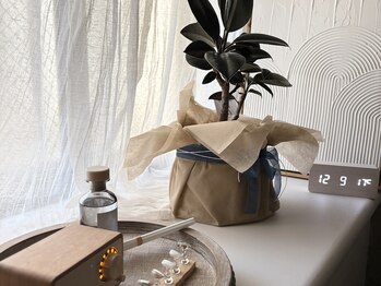 soel. 【ソエル】～パラジェル / フィルイン / シンプルニュアンス～/