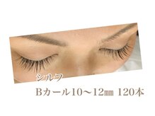 シルフ 石橋店(Sylph)/キュートスタイル 120本