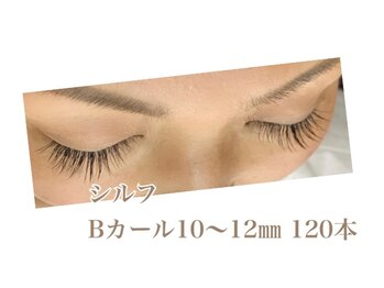 シルフ 石橋店(Sylph)/キュートスタイル 120本