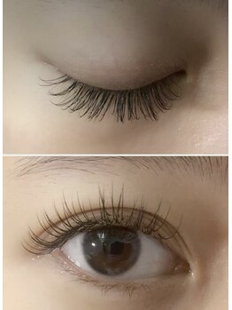 ハラン(haran)/フラットセーブル120本