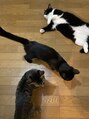 リラッサンテ(Rilassante)&nbsp;三匹の保護ネコちゃん