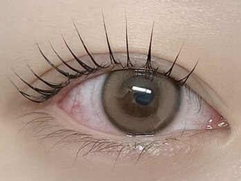 ローラン(LORAN)/まつげパーマ