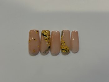 【Hand】トレンド/シーズン 定額