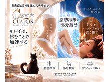 クードシャトン(Queue de CHATON)
