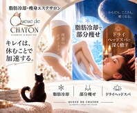 クードシャトン(Queue de CHATON)