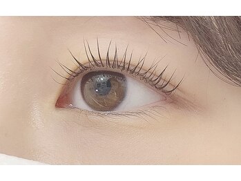 ペルシャ(Persian)/パリジェンヌ【坂戸/若葉】