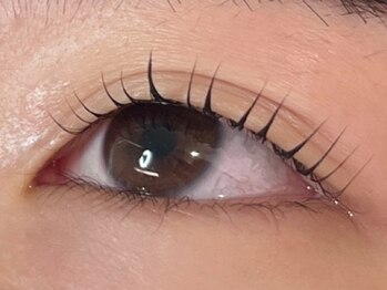 ウルカ アイラッシュ(uruka EYELASH)/ラッシュリフト