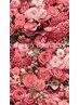 【LINE会員様限定】BIRTHDAY50%OFFクーポン