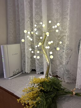 てぃーだはんず/