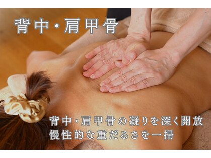 アクアの写真