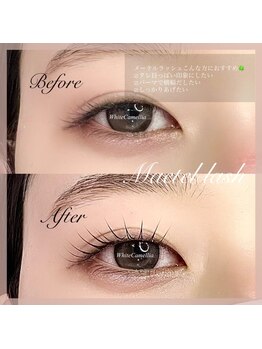 ホワイトカメリア 上本町店(White Camellia)/マツエクサロン/まつ毛パーマ